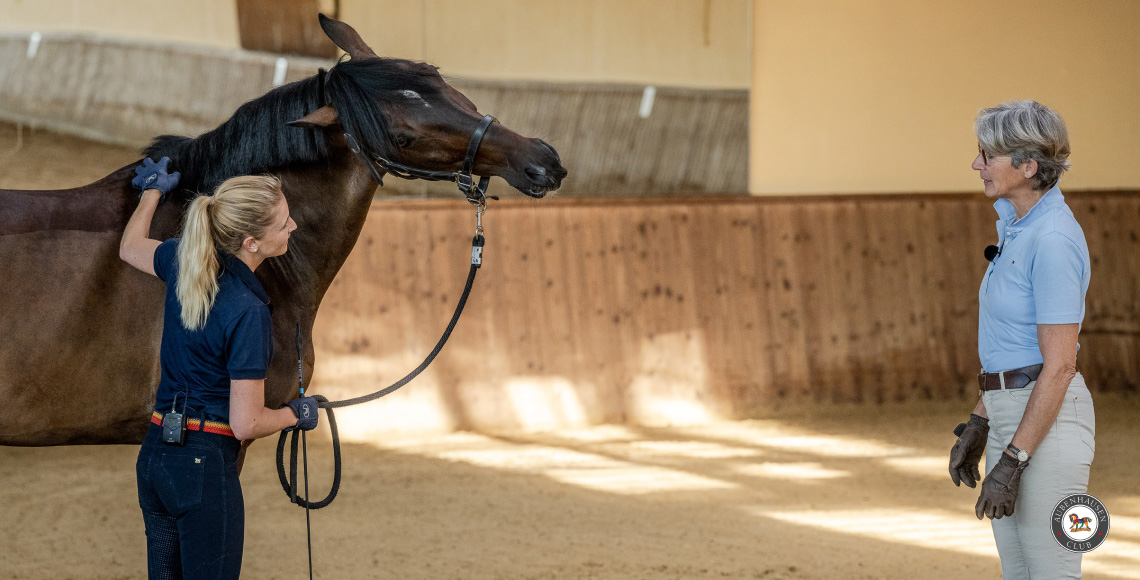Bindungstraining: Tipps für eine tiefe Bindung und Erfolg im Reitsport