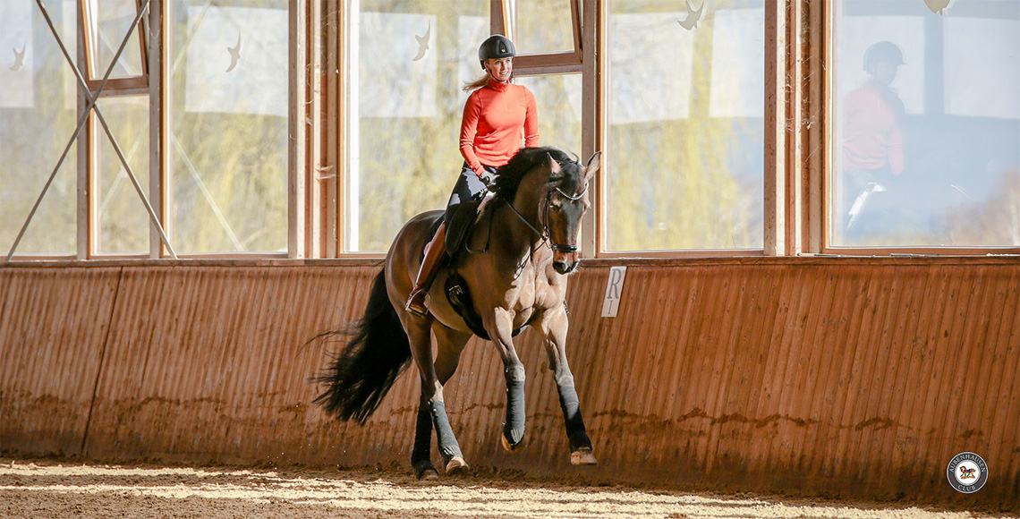 Beckenboden beim Reiten
