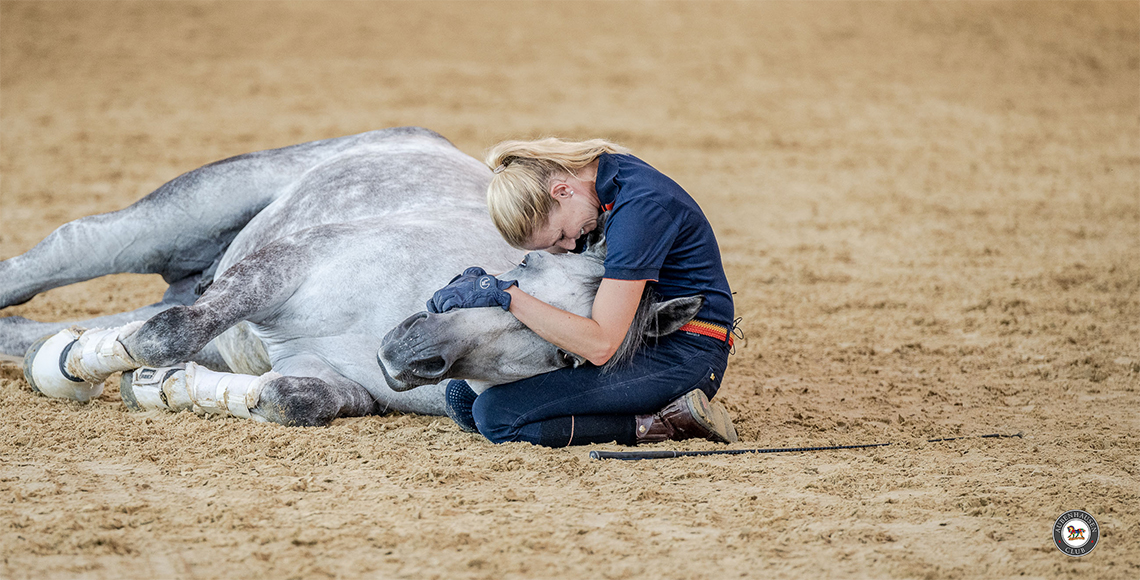 Bindungstraining: Tipps für eine tiefe Bindung und Erfolg im Reitsport