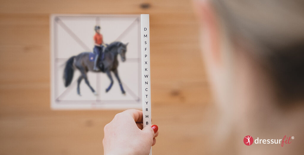 Feiner Reiten mit Neuro-Athletik