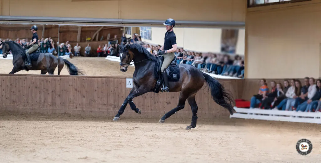 Mentale Stärke im Reitsport
