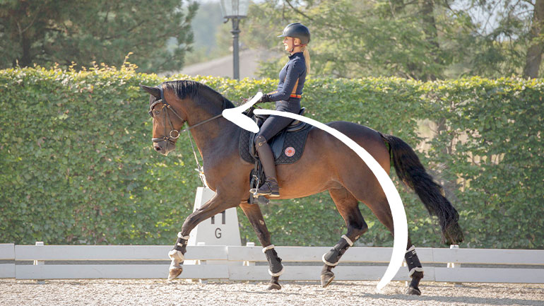 Online Coaching: Übergänge im Training richtig nutzen