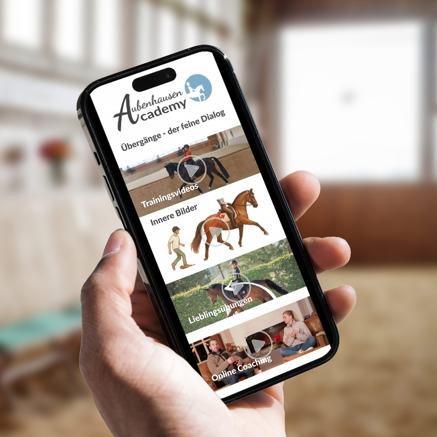 Online-Kurs: Übergänge