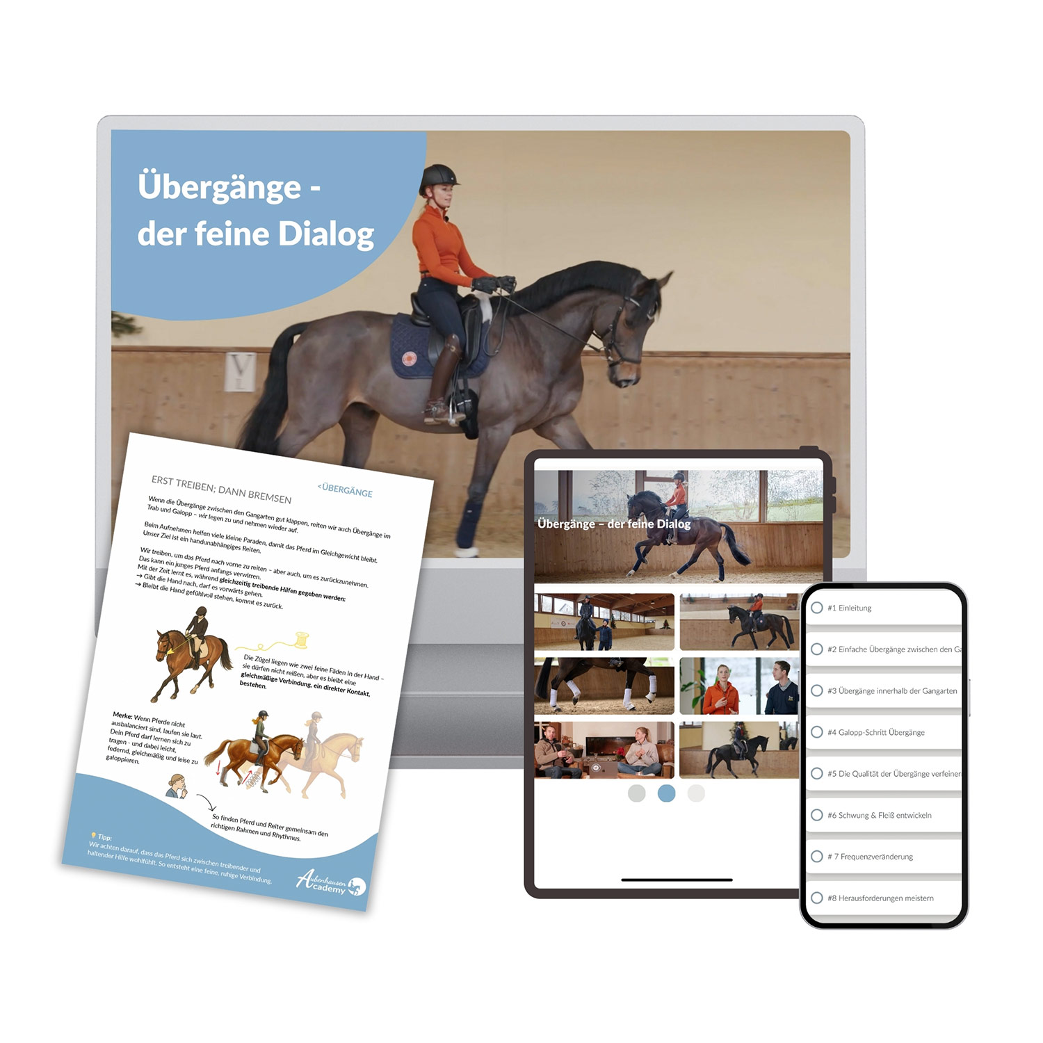 Online Kurs Übergänge