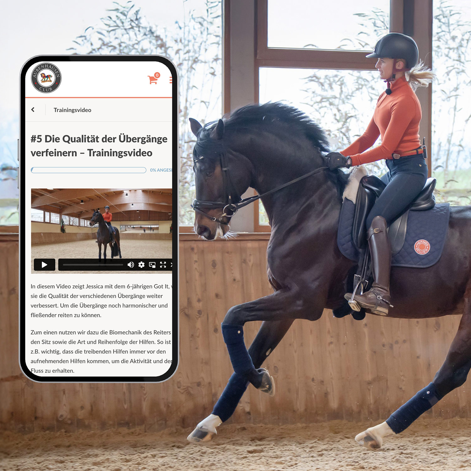 Online Kurs Übergänge