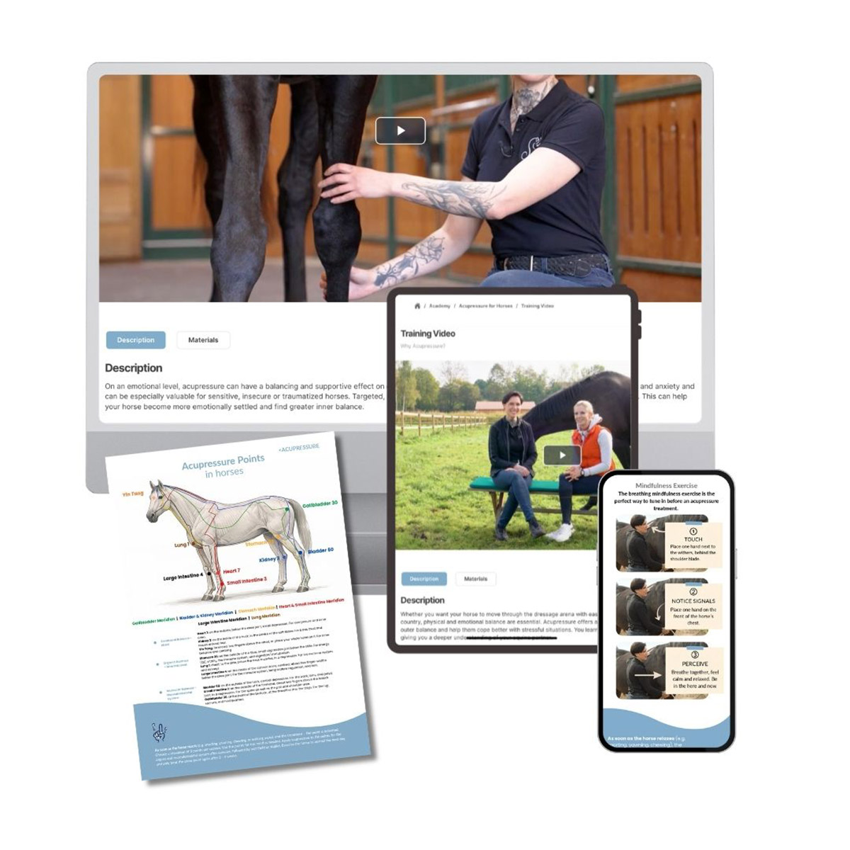 Acupressure for horses Overview