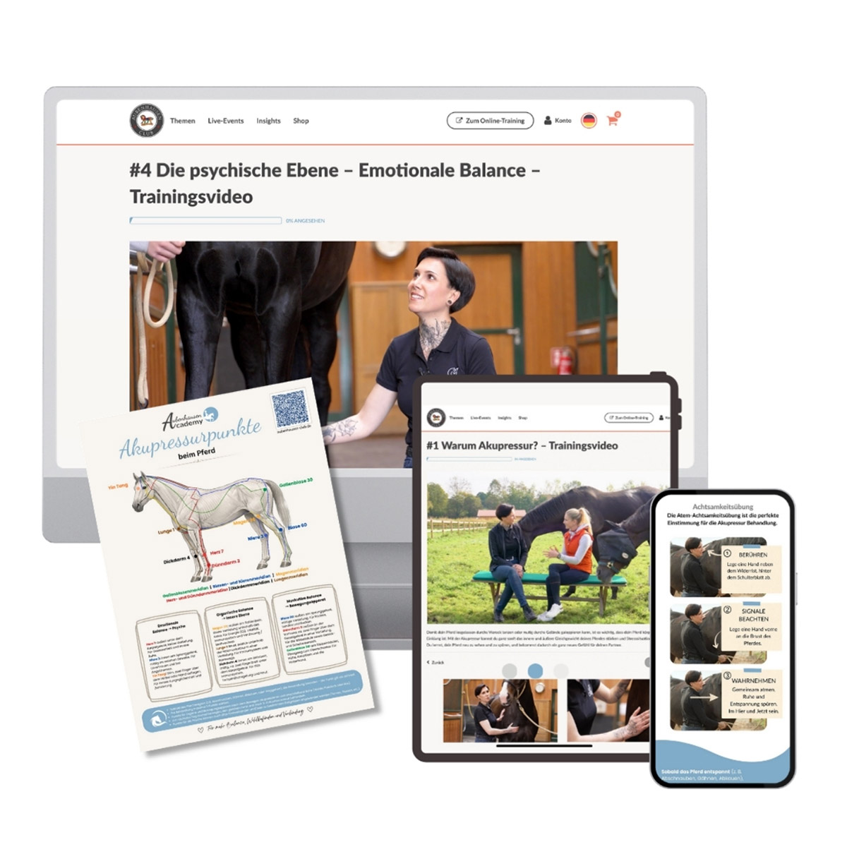 Akupressurkurs Aubenhausen Academy, mit Lernmaterial und all Devices.