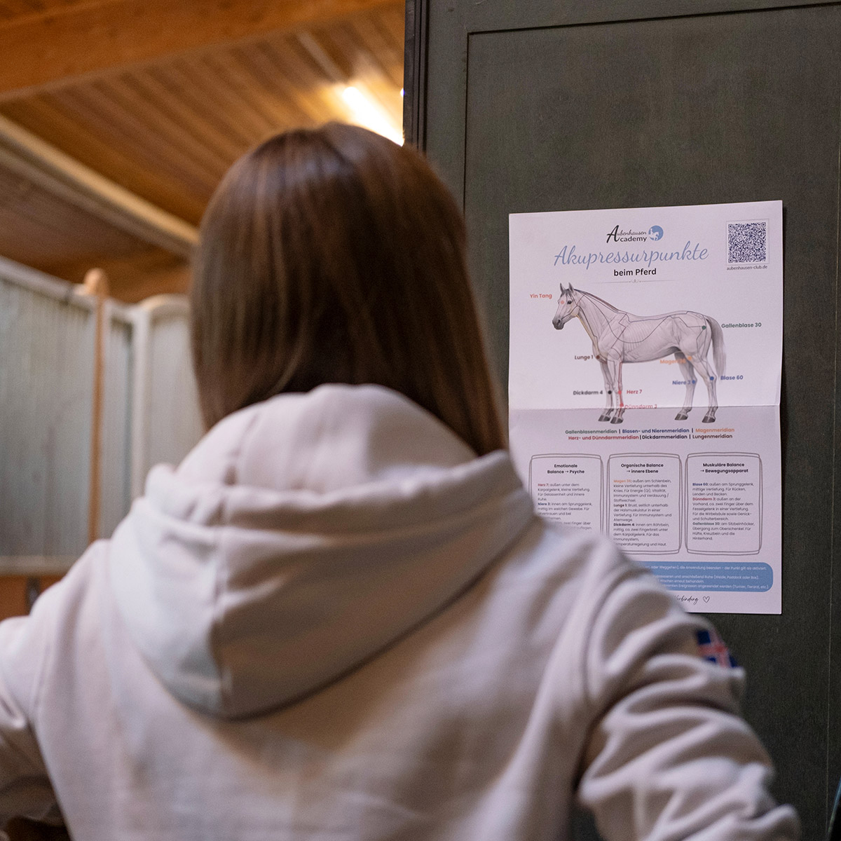 Poster Akupressur für Pferde