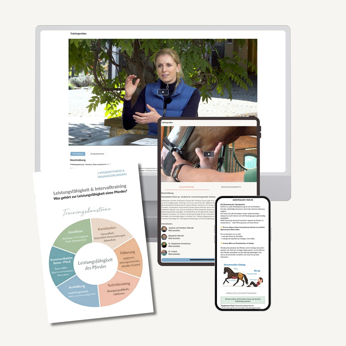 Übersicht Kurs Muskelaufbau und Training für Dressurpferde mit PDF Übersicht.